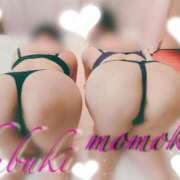 ヒメ日記 2025/03/19 13:19 投稿 ふぶきさん いけない奥さん 梅田店