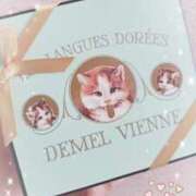 ヒメ日記 2025/03/27 11:22 投稿 あんな 静岡人妻なでしこ（カサブランカグループ)