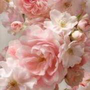 ヒメ日記 2025/03/13 19:27 投稿 岡田まひろ おいしい人妻熟女