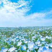 ヒメ日記 2025/04/19 16:50 投稿 岡田まひろ おいしい人妻熟女