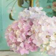 ヒメ日記 2025/05/25 16:46 投稿 岡田まひろ おいしい人妻熟女