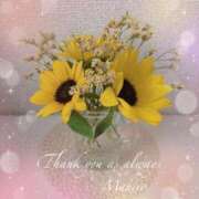 ヒメ日記 2025/06/15 15:51 投稿 岡田まひろ おいしい人妻熟女