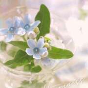 ヒメ日記 2025/08/02 11:04 投稿 岡田まひろ おいしい人妻熟女