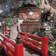 ヒメ日記 2025/01/22 20:55 投稿 ことの 奥鉄オクテツ東京店（デリヘル市場）