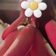 ヒメ日記 2025/03/27 07:19 投稿 ゆか THE ESUTE HOUSE 柴田