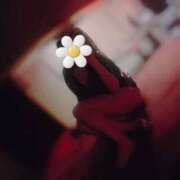 ヒメ日記 2025/04/30 19:12 投稿 ゆか THE ESUTE HOUSE 柴田