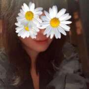 ヒメ日記 2025/08/28 21:08 投稿 ゆか THE ESUTE HOUSE 柴田