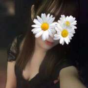 ヒメ日記 2025/11/03 12:16 投稿 ゆか THE ESUTE HOUSE 柴田