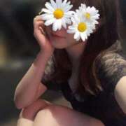 ヒメ日記 2025/12/28 09:56 投稿 ゆか THE ESUTE HOUSE 柴田