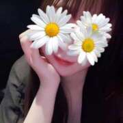 ヒメ日記 2025/12/31 09:46 投稿 ゆか THE ESUTE HOUSE 柴田