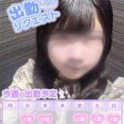 ヒメ日記 2025/06/03 16:33 投稿 せいら 素敵な女の子は好きですか？