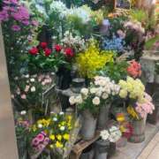 ヒメ日記 2025/08/09 18:45 投稿 せいら 素敵な女の子は好きですか？