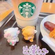 ヒメ日記 2025/08/26 18:15 投稿 せいら 素敵な女の子は好きですか？