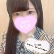 ヒメ日記 2025/11/14 13:03 投稿 せいら 素敵な女の子は好きですか？