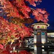 ヒメ日記 2025/11/23 20:21 投稿 せいら 素敵な女の子は好きですか？