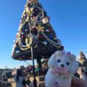 ヒメ日記 2025/12/09 02:33 投稿 せいら 素敵な女の子は好きですか？