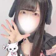 ヒメ日記 2026/02/14 23:18 投稿 せいら 素敵な女の子は好きですか？