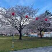 ヒメ日記 2026/04/06 18:48 投稿 せいら 素敵な女の子は好きですか？