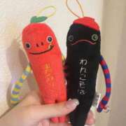 ヒメ日記 2026/04/11 15:33 投稿 せいら 素敵な女の子は好きですか？