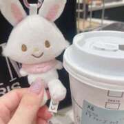 ヒメ日記 2026/04/19 19:48 投稿 せいら 素敵な女の子は好きですか？