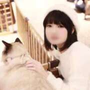 ヒメ日記 2026/03/19 19:32 投稿 しほ Polaris（ポラリス）