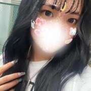 ヒメ日記 2024/12/13 10:08 投稿 はな 和楽(わらく)