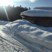 ヒメ日記 2025/02/16 15:56 投稿 茜しず 横浜プロダクション