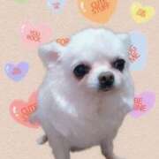 ヒメ日記 2025/05/17 12:13 投稿 茜しず 横浜プロダクション