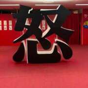 アン どどど❤︎ ニューグランド