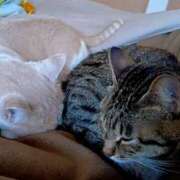 ヒメ日記 2024/12/12 15:20 投稿 しのぶ モアグループ宇都宮人妻花壇