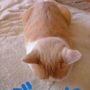 ヒメ日記 2025/01/16 15:03 投稿 しのぶ モアグループ宇都宮人妻花壇