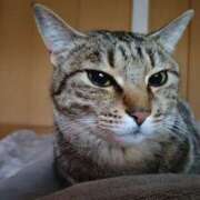 ヒメ日記 2025/01/26 20:23 投稿 しのぶ モアグループ宇都宮人妻花壇