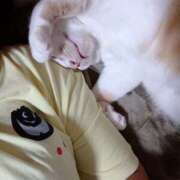 しのぶ しのぶです。 モアグループ宇都宮人妻花壇