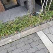 ヒメ日記 2025/12/15 10:28 投稿 小島　あやの ギン妻パラダイス 谷九店