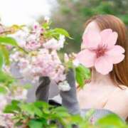 ヒメ日記 2025/05/16 09:51 投稿 香月めい 大人のエッチなエステ