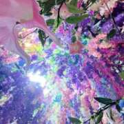 ヒメ日記 2025/05/30 23:53 投稿 香月めい 大人のエッチなエステ