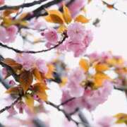 ヒメ日記 2025/05/31 13:01 投稿 香月めい 大人のエッチなエステ