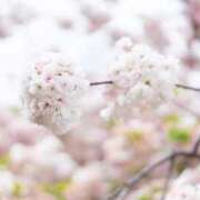 香月めい ありがとうございました🌸 大人のエッチなエステ