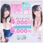 ヒメ日記 2025/03/20 08:17 投稿 みお エデンR