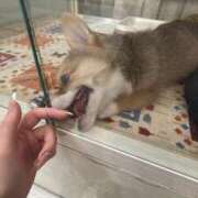 ヒメ日記 2025/03/31 10:57 投稿 みお エデンR