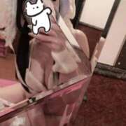 ヒメ日記 2025/11/05 07:49 投稿 みお エデンR