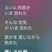 桜井（さくらい） おはよっ⭐︎ 今日、私はあなたの部下（マーベリックグループ）