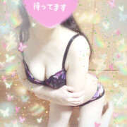 ヒメ日記 2025/03/01 09:00 投稿 いづみ モアグループ宇都宮人妻花壇