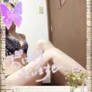 ヒメ日記 2025/03/04 09:00 投稿 いづみ モアグループ宇都宮人妻花壇