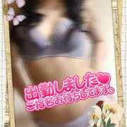 ヒメ日記 2025/11/13 11:00 投稿 いづみ モアグループ宇都宮人妻花壇