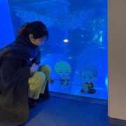 ヒメ日記 2025/03/10 18:07 投稿 きき 私立にじいろ女学園～横浜校～