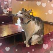 ヒメ日記 2024/12/27 18:37 投稿 みり 池袋あられ