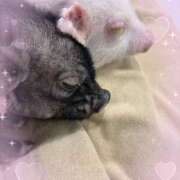 ヒメ日記 2026/04/18 17:08 投稿 おみ 池袋あられ