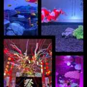 ヒメ日記 2025/08/18 22:08 投稿 黒木陽七乃 五十路マダム 郡山店