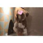 ヒメ日記 2025/08/23 16:58 投稿 黒木陽七乃 五十路マダム 郡山店